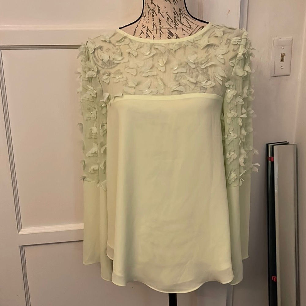 Light green shear blouse